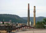 foto z 13.5.2007. Za ani necelé dva měsíce tento roztomilý schoureček(levý) na hranici pyždíku padl, jak bylo zjištěno při prekioinspekci v Děčíně dne 28.7.2007