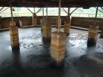 07/2020 - chladicí bažina